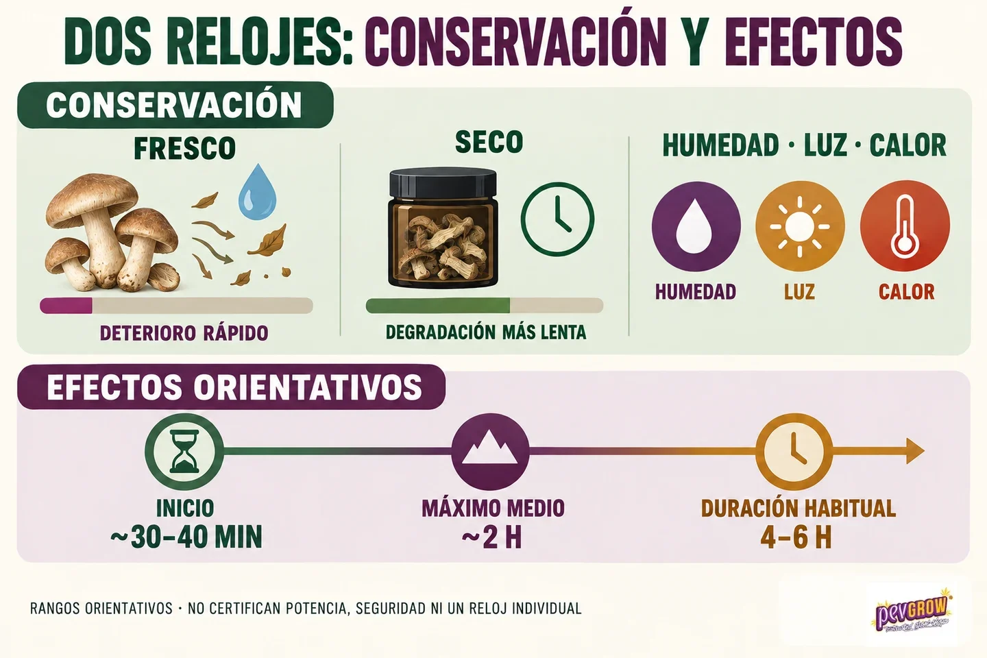 Infografía sobre conservación de hongos frescos y secos, factores ambientales y tiempos orientativos de inicio, máximo y duración de efectos. Infografía sobre conservación de hongos frescos y secos, factores ambientales y tiempos orientativos de inicio, máximo y duración de efectos.