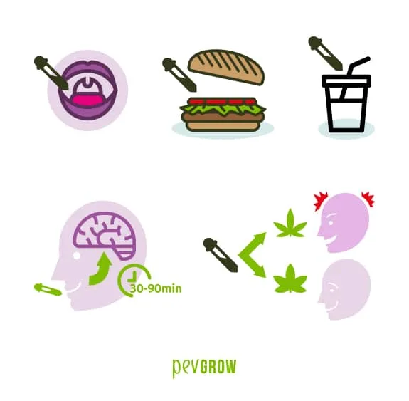 Infografía con cuentagotas sobre una boca, una hamburguesa y una bebida, y esquemas de tiempo de acción y distintas reacciones. Infografía con cuentagotas sobre una boca, una hamburguesa y una bebida, y esquemas de tiempo de acción y distintas reacciones.