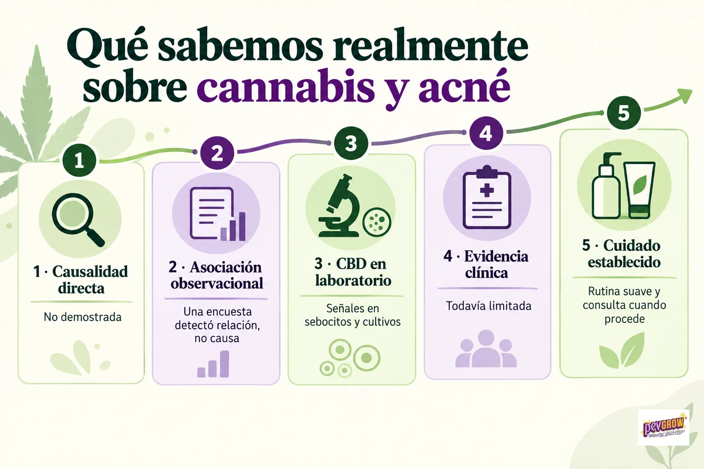 Infografía sobre cannabis y acné con cinco etapas que distinguen causalidad, asociación, estudios de CBD y evidencia clínica. Infografía sobre cannabis y acné con cinco etapas que distinguen causalidad, asociación, estudios de CBD y evidencia clínica.