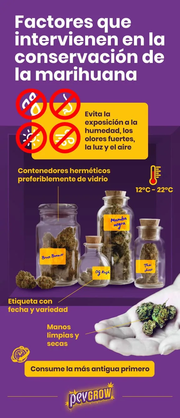 Infografía sobre conservación de la marihuana con frascos etiquetados, símbolos de factores que evitar y una mano con cogollos.