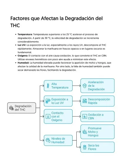 Infografía con texto y diagrama sobre temperatura, luz UV, oxígeno y humedad como factores de degradación del THC.