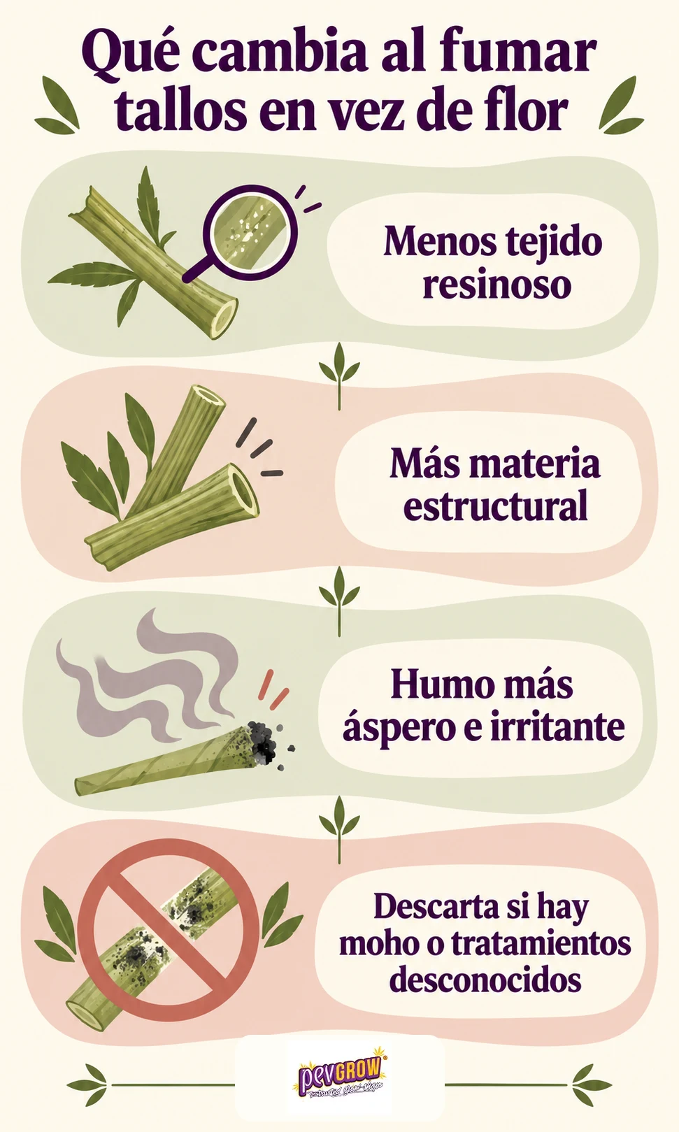 Infografía sobre fumar tallos en vez de flor, con dibujos de tallos, humo y una señal de prohibición sobre un tallo con moho. Infografía sobre fumar tallos en vez de flor, con dibujos de tallos, humo y una señal de prohibición sobre un tallo con moho.