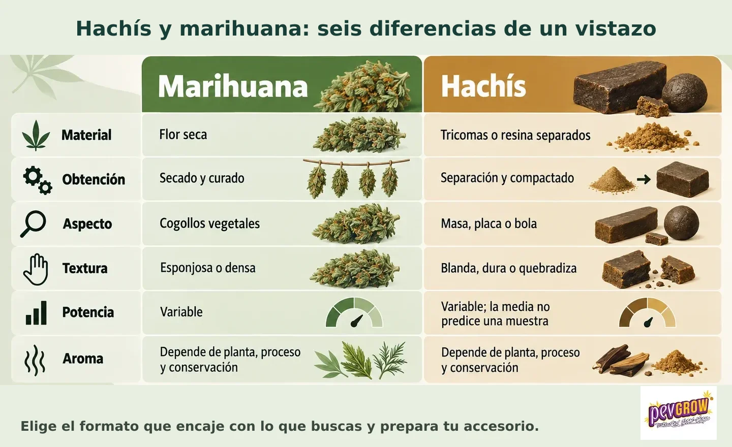 Tabla ilustrada que compara marihuana y hachís en material, obtención, aspecto, textura, potencia y aroma. Tabla ilustrada que compara marihuana y hachís en material, obtención, aspecto, textura, potencia y aroma.