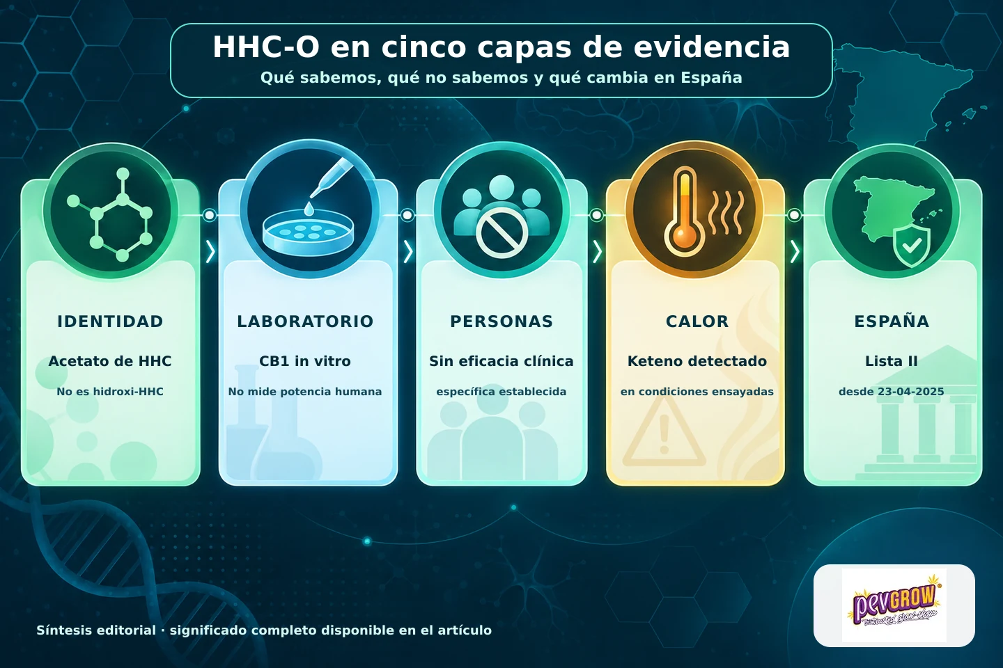 Infografía «HHC-O en cinco capas de evidencia», con paneles sobre identidad, laboratorio, personas, calor y situación en España.