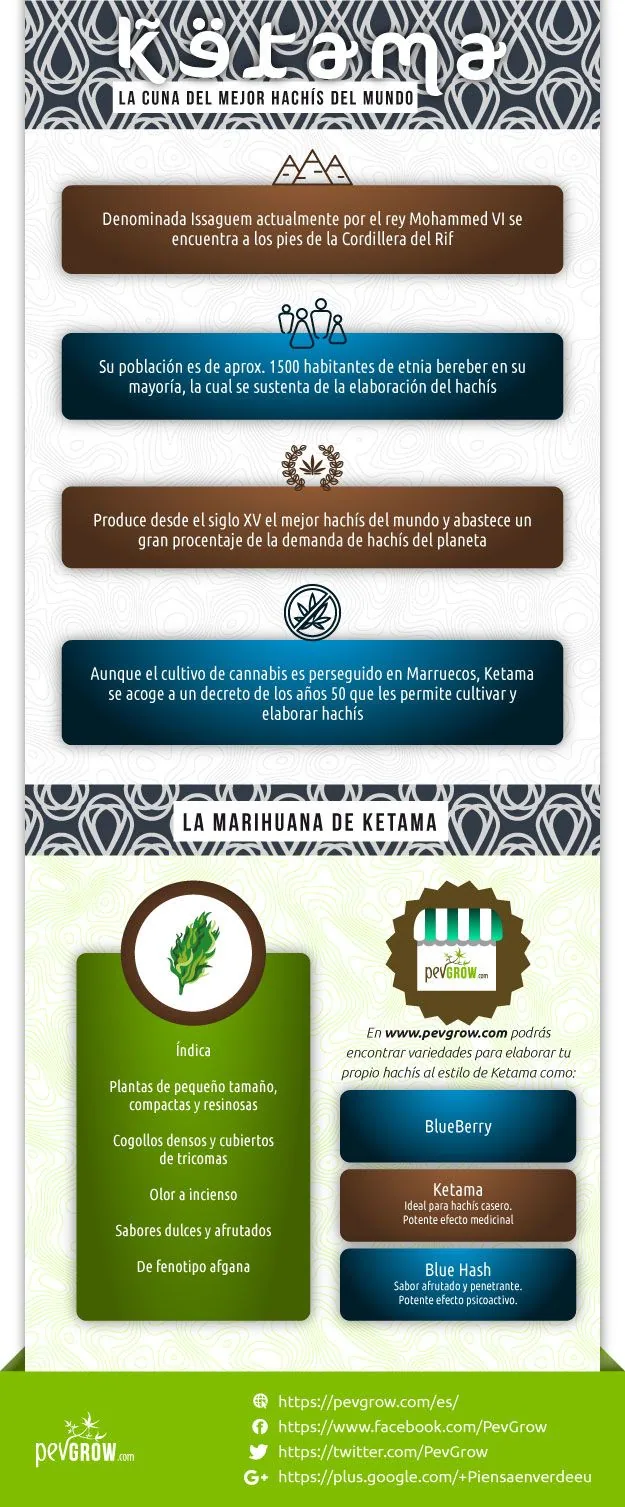 Infografía vertical de Ketama con datos de la localidad, una sección sobre su marihuana y tres variedades para elaborar hachís. Infografía vertical de Ketama con datos de la localidad, una sección sobre su marihuana y tres variedades para elaborar hachís.