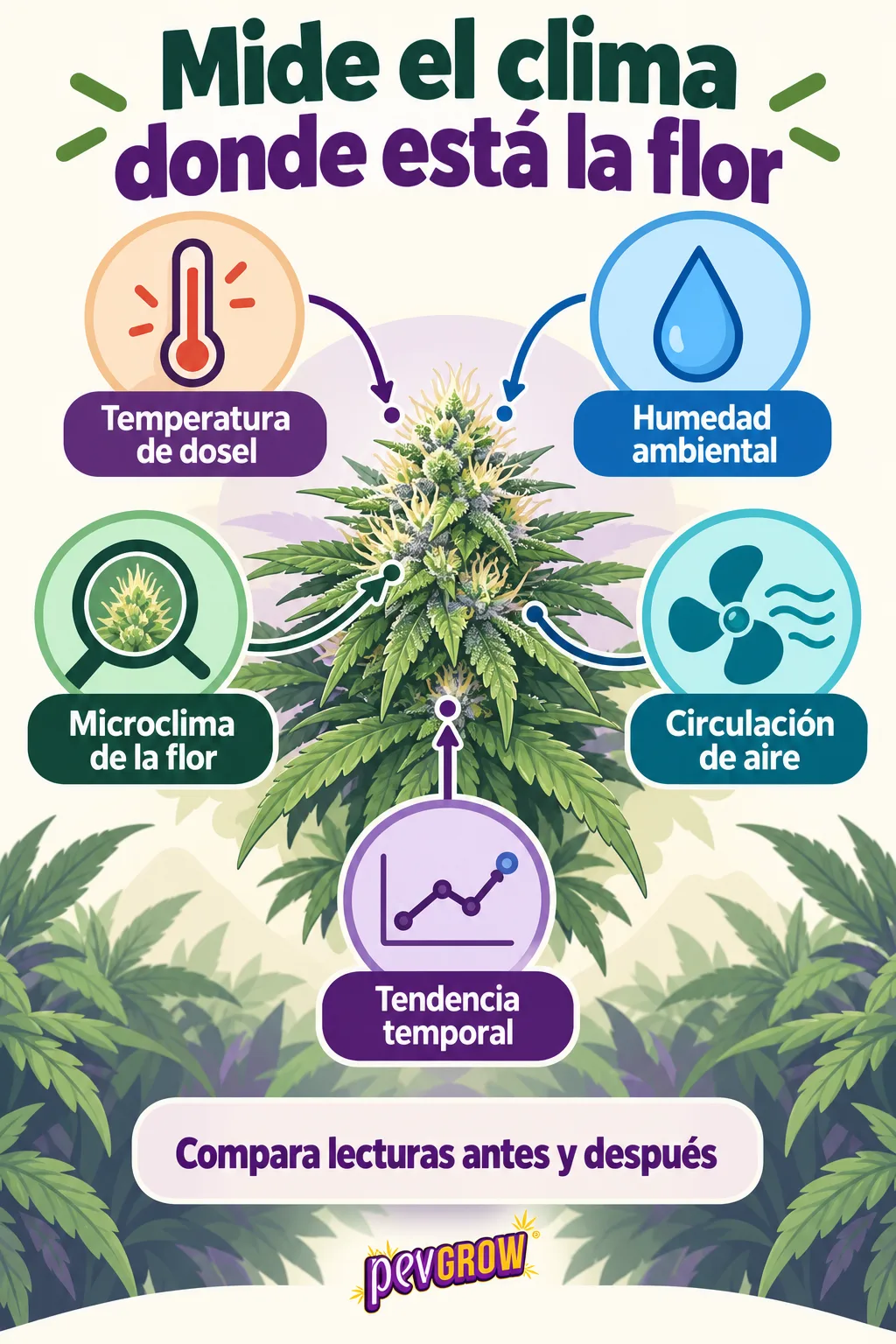 Infografía con una flor de cannabis central y cinco aspectos del clima que medir, como temperatura, humedad y circulación de aire.