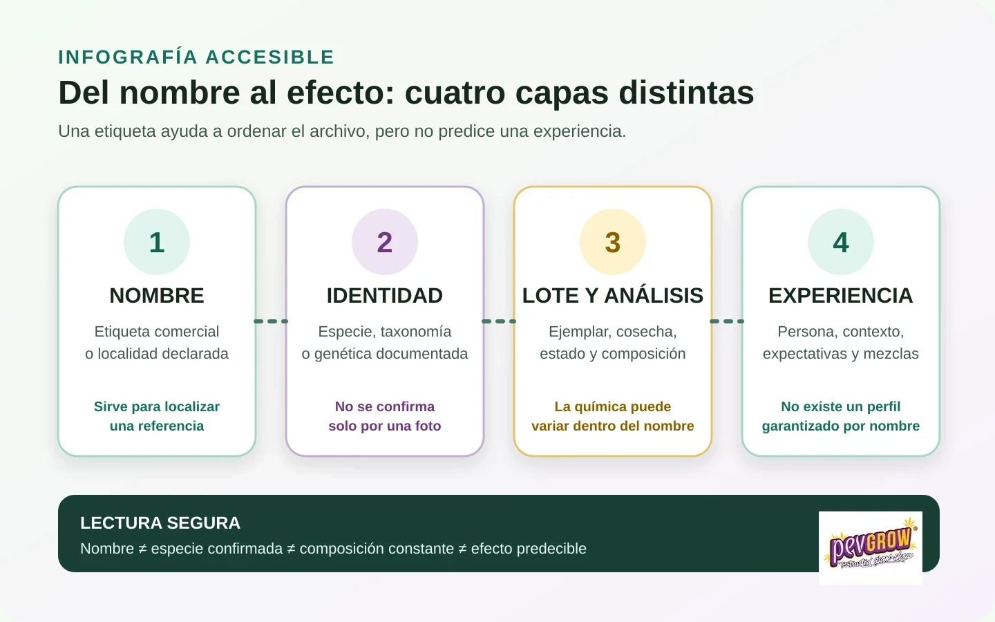 Infografía con cuatro tarjetas conectadas que distinguen nombre, identidad, lote y análisis, y experiencia. Infografía con cuatro tarjetas conectadas que distinguen nombre, identidad, lote y análisis, y experiencia.