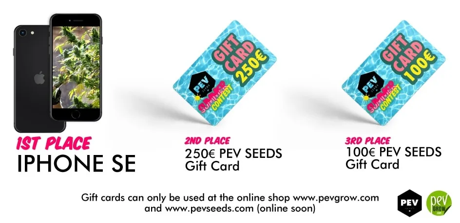 Cartel de premios con un iPhone SE para el primer puesto y tarjetas regalo de PEV Seeds de 250 y 100 euros para el segundo y tercero.