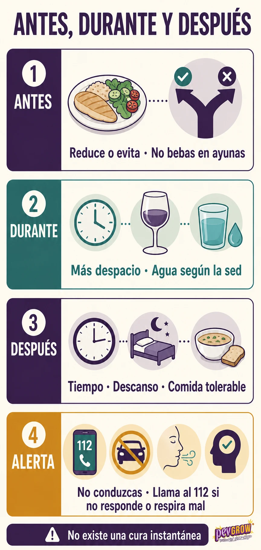 Infografía sobre alcohol y resaca organizada en antes, durante, después y alerta, con iconos de comida, agua, descanso y emergencias.