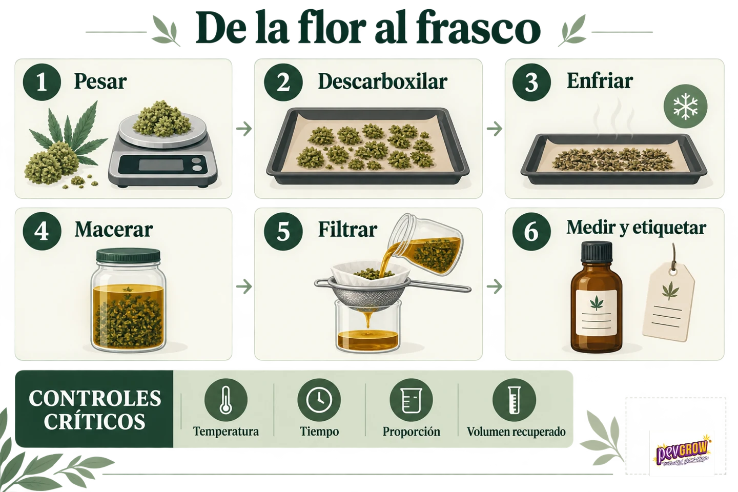 Infografía «De la flor al frasco» con seis pasos: pesar, descarboxilar, enfriar, macerar, filtrar, y medir y etiquetar. Infografía «De la flor al frasco» con seis pasos: pesar, descarboxilar, enfriar, macerar, filtrar, y medir y etiquetar.