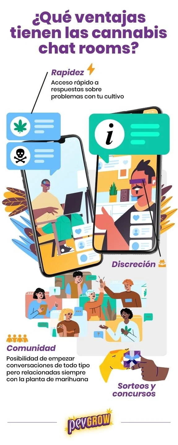 Infografía con cuatro ventajas de las salas de chat sobre cannabis: rapidez, discreción, comunidad, y sorteos y concursos, con dos teléfonos móviles y varias personas conversando