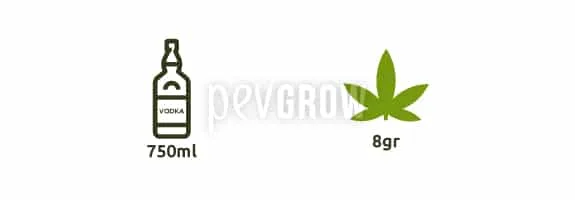 Botella ilustrada con la etiqueta «VODKA» y la cantidad 750 ml, junto a una hoja verde de cannabis marcada con 8 g. Botella ilustrada con la etiqueta «VODKA» y la cantidad 750 ml, junto a una hoja verde de cannabis marcada con 8 g.