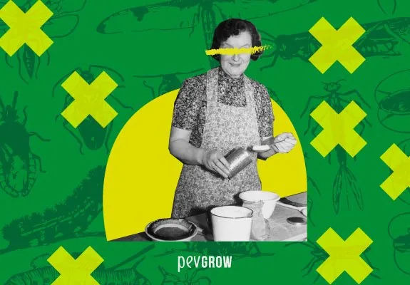 Collage de una mujer con delantal sosteniendo un recipiente junto a cuencos, sobre fondo verde con insectos dibujados y cruces amarillas. Collage de una mujer con delantal sosteniendo un recipiente junto a cuencos, sobre fondo verde con insectos dibujados y cruces amarillas.