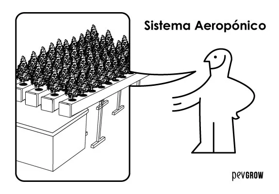 Dibujo de un sistema aeropónico con hileras de plantas sobre una estructura elevada, junto a un personaje y el título «Sistema Aeropónico».