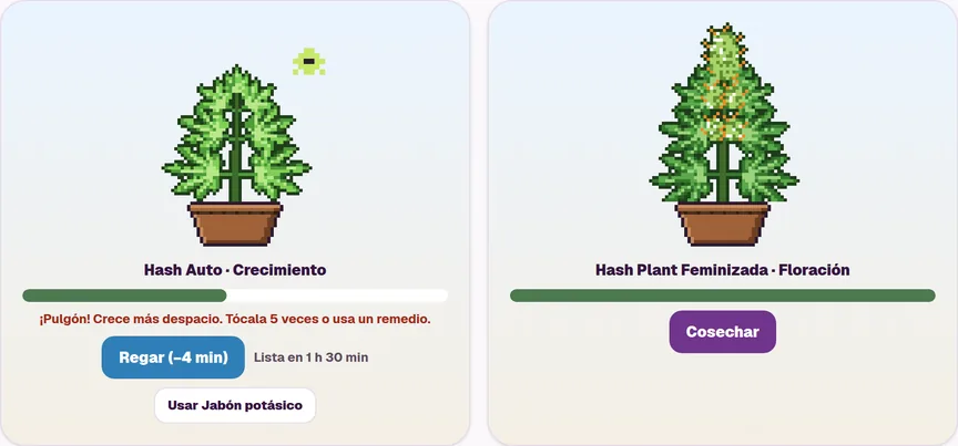 Dos plantas pixeladas del jardín: Hash Auto en crecimiento con aviso de pulgón y Hash Plant Feminizada en floración, lista para cosechar.