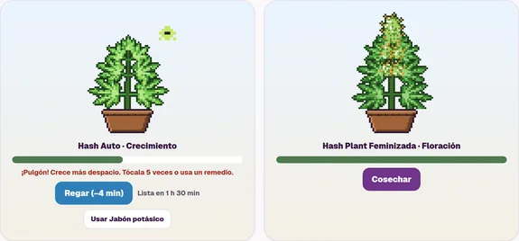 Dos plantas pixeladas: Hash Auto en crecimiento con aviso de pulgón y opción de riego; Hash Plant Feminizada en floración, lista para cosechar.