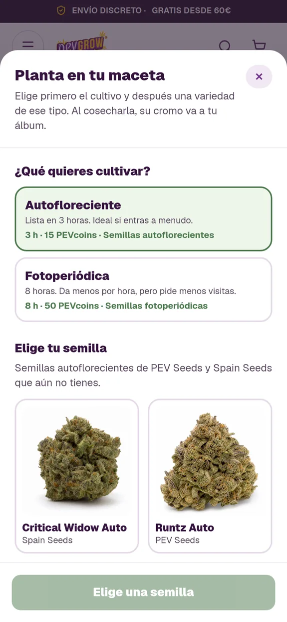 Selector móvil del jardín de Pevgrow con cultivo autofloreciente marcado y tarjetas de Critical Widow Auto y Runtz Auto.