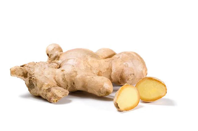 Rizoma de jengibre con piel beige y dos rodajas de interior amarillo sobre fondo blanco. Rizoma de jengibre con piel beige y dos rodajas de interior amarillo sobre fondo blanco.