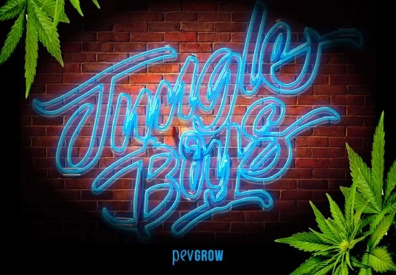 Rótulo luminoso azul con el texto «Jungle Boys» sobre una pared de ladrillo, enmarcado por hojas y flores de cannabis. Rótulo luminoso azul con el texto «Jungle Boys» sobre una pared de ladrillo, enmarcado por hojas y flores de cannabis.