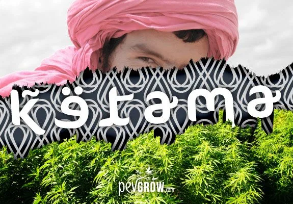 Montaje con el rostro de una persona con turbante rosa, una franja de motivos geométricos, el texto «Ketama» y plantas de cannabis. Montaje con el rostro de una persona con turbante rosa, una franja de motivos geométricos, el texto «Ketama» y plantas de cannabis.