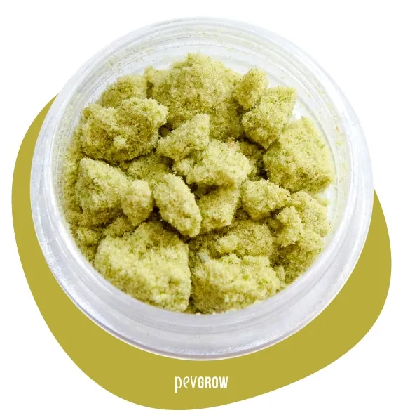 Recipiente transparente abierto con fragmentos de aspecto granulado amarillo verdoso, sobre una base gráfica con el texto «pevgrow». Recipiente transparente abierto con fragmentos de aspecto granulado amarillo verdoso, sobre una base gráfica con el texto «pevgrow».