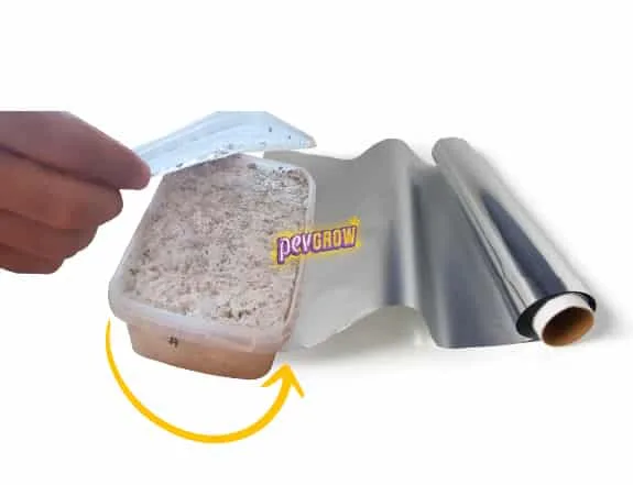 Recipiente con sustrato blanquecino junto a un rollo de papel de aluminio y una mano que sostiene la tapa; una flecha indica envolverlo. Recipiente con sustrato blanquecino junto a un rollo de papel de aluminio y una mano que sostiene la tapa; una flecha indica envolverlo.
