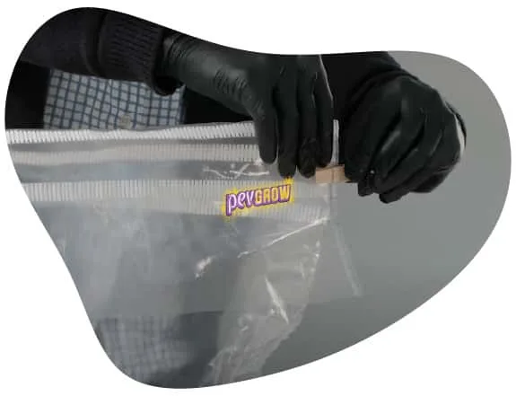 Primer plano de unas manos con guantes que sujetan el borde doblado de una bolsa transparente con una pinza de madera. Primer plano de unas manos con guantes que sujetan el borde doblado de una bolsa transparente con una pinza de madera.