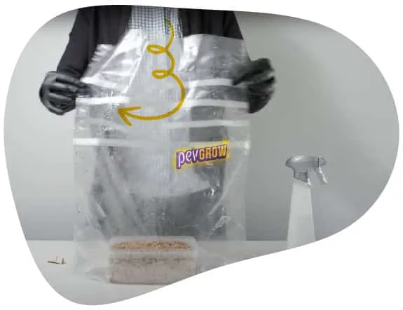 Manos con guantes sostienen una bolsa con un recipiente en la base; una flecha curva señala el movimiento y hay un pulverizador al lado. Manos con guantes sostienen una bolsa con un recipiente en la base; una flecha curva señala el movimiento y hay un pulverizador al lado.