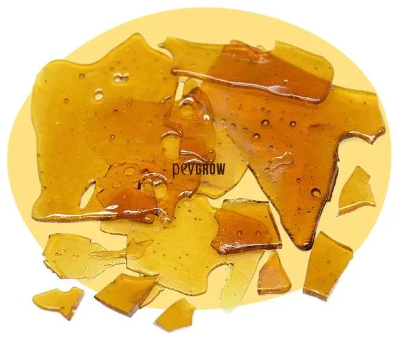 Láminas y fragmentos de shatter translúcidos, de tonos amarillos y ámbar, con burbujas y bordes angulosos sobre fondo claro. Láminas y fragmentos de shatter translúcidos, de tonos amarillos y ámbar, con burbujas y bordes angulosos sobre fondo claro.
