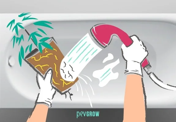 Ilustración de manos con guantes que sostienen una planta con raíces expuestas y las enjuagan con una ducha sobre una bañera.