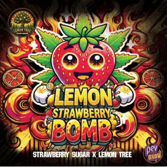 Ilustración de la ficha de Lemon Strawberry Bomb: una fresa sonriente con hojas de cannabis y rodajas de limón sobre fondo de llamas