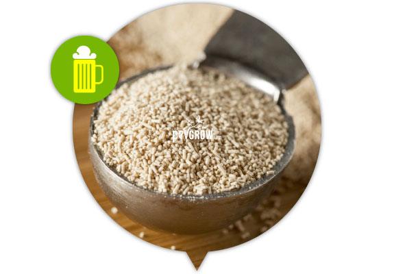 Cuenco lleno de pequeños gránulos beige, con una cuchara al fondo y un icono de jarra de cerveza sobre el recorte circular. Cuenco lleno de pequeños gránulos beige, con una cuchara al fondo y un icono de jarra de cerveza sobre el recorte circular.