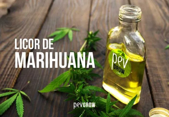 Botella abierta con líquido amarillo y etiqueta Pev Grow sobre madera, junto a hojas de cannabis y el texto «Licor de marihuana».