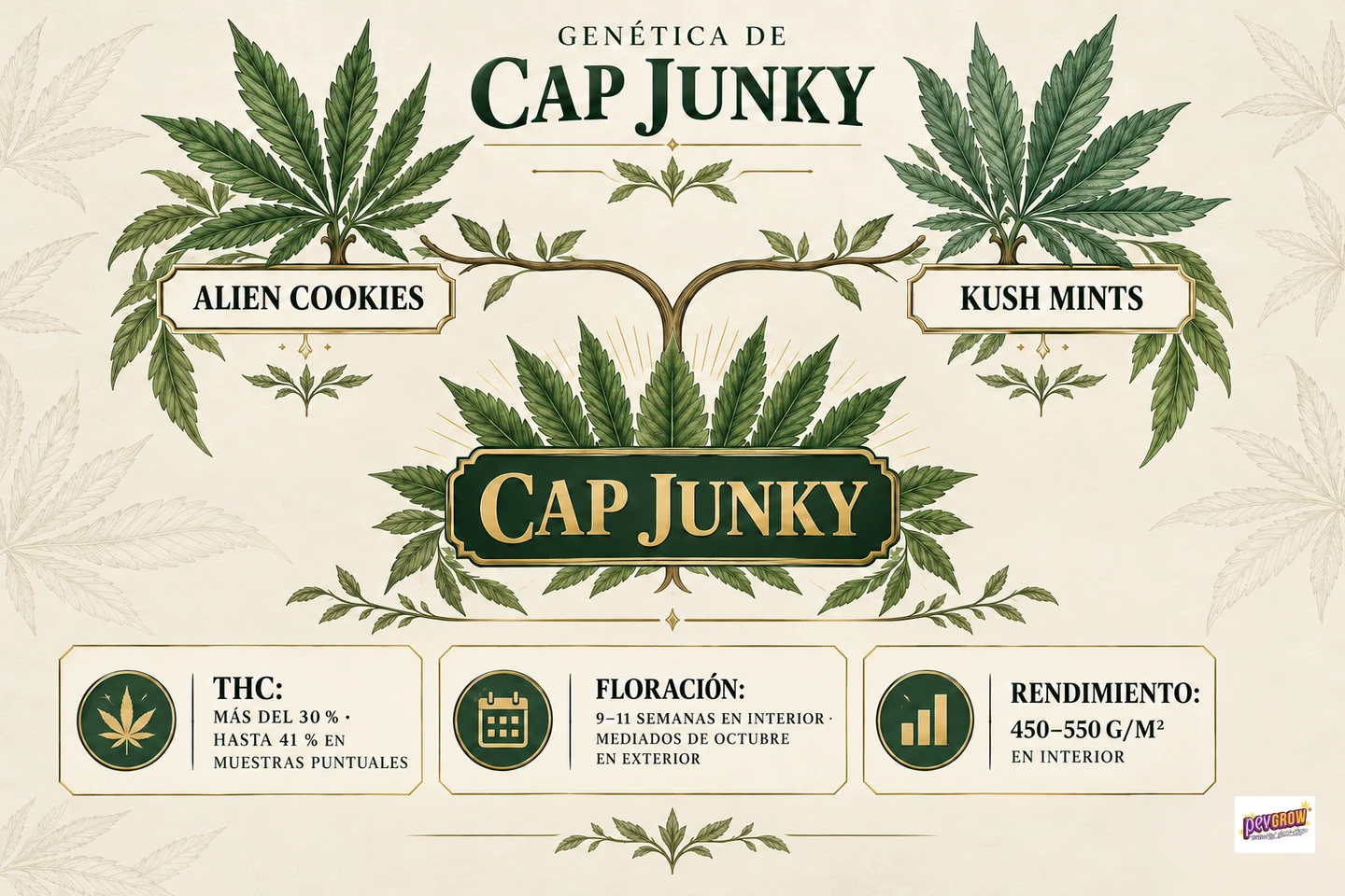 Infografía del linaje de Cap Junky, con Alien Cookies y Kush Mints conectadas por ramas, y datos de THC, floración y rendimiento.