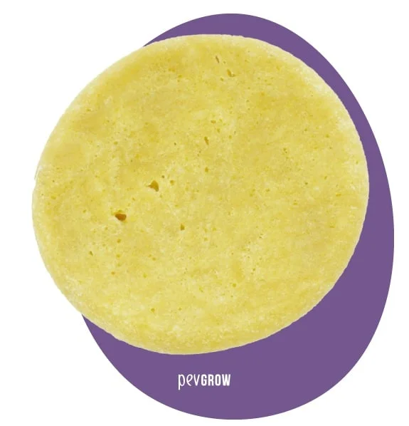 Disco amarillo de superficie porosa y bordes redondeados sobre un fondo ovalado morado con el logotipo Pevgrow.