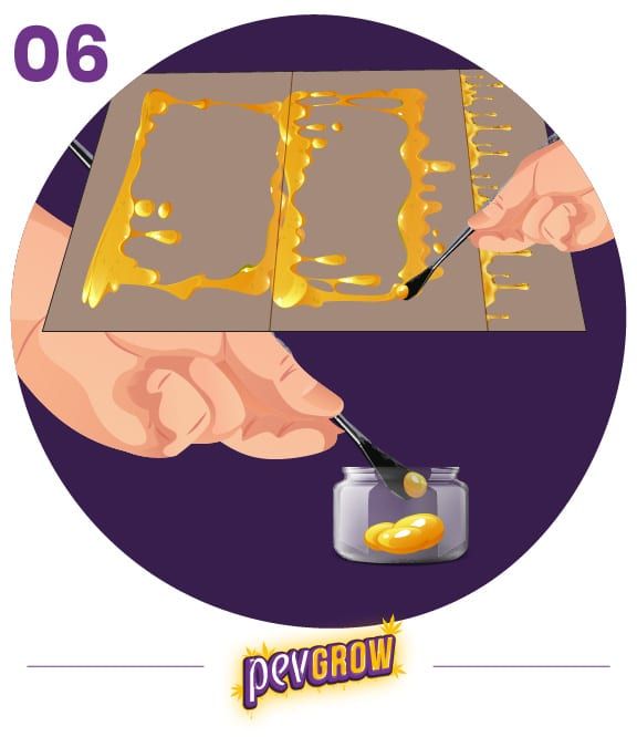 Ilustración del paso 6: unas manos recogen una sustancia dorada de una lámina y la depositan con una herramienta en un tarro.