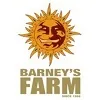 Logotipo de Barney's Farm con un sol dorado de rostro sonriente sobre el nombre en letras gruesas.