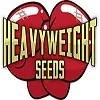 Logotipo de Heavyweight Seeds con dos guantes de boxeo rojos y el nombre en letras alargadas de color claro.
