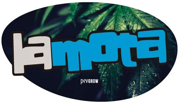 Logotipo ovalado de Lamota con letras blancas y azules sobre un fondo de hojas de cannabis con gotas y la firma Pevgrow. Logotipo ovalado de Lamota con letras blancas y azules sobre un fondo de hojas de cannabis con gotas y la firma Pevgrow.