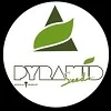 Logotipo de Pyramid Seeds con una pirámide verde estilizada sobre el nombre, dentro de un círculo blanco sobre fondo negro.