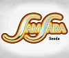 Logotipo de Samsara Seeds con letras curvas entrelazadas en tonos dorados y rojizos sobre un fondo blanco y gris claro.