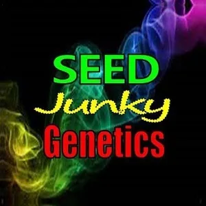 Logotipo de Seed Junky Genetics con letras verdes, amarillas y rojas sobre fondo negro con volutas de varios colores. Logotipo de Seed Junky Genetics con letras verdes, amarillas y rojas sobre fondo negro con volutas de varios colores.