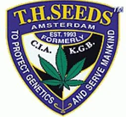 Logotipo de T.H. Seeds en un escudo azul y amarillo, con una hoja verde de cannabis y el texto «Amsterdam» bajo el nombre.
