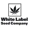 Logotipo de White Label Seed Company en negro sobre blanco, con una hoja de cannabis enmarcada en un cuadrado sobre el nombre.