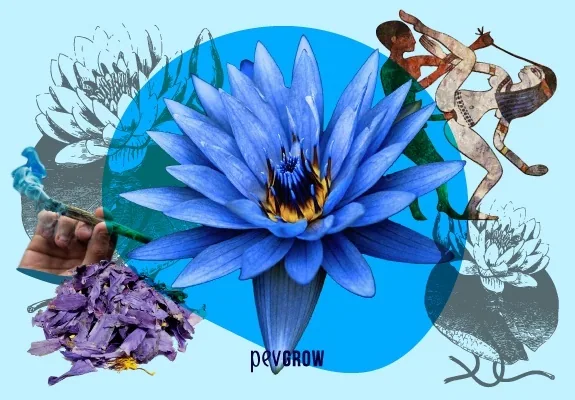 Collage de una flor azul sobre un círculo turquesa, con pétalos secos, una mano con un cigarrillo y figuras de estilo egipcio. Collage de una flor azul sobre un círculo turquesa, con pétalos secos, una mano con un cigarrillo y figuras de estilo egipcio.