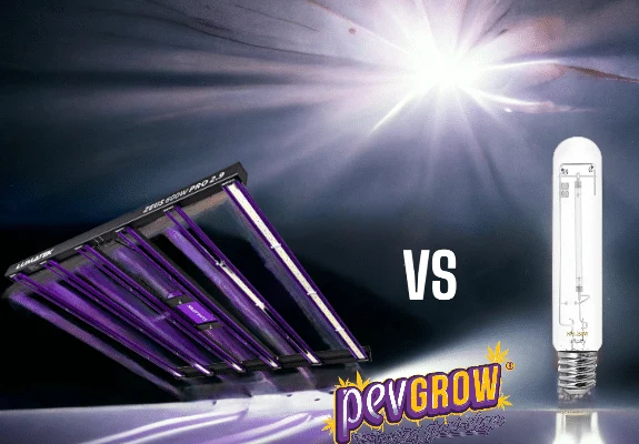 Comparación visual de un panel LED de barras con luz violeta y una bombilla alargada, separados por el texto «VS». Comparación visual de un panel LED de barras con luz violeta y una bombilla alargada, separados por el texto «VS».