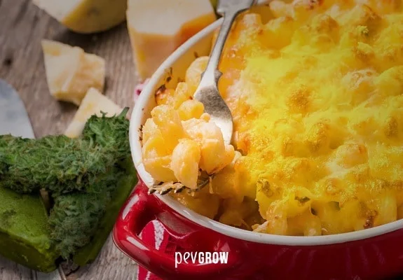 Macarrones con queso gratinado en una fuente roja, con una cuchara que levanta una porción y cogollos verdes al lado. Macarrones con queso gratinado en una fuente roja, con una cuchara que levanta una porción y cogollos verdes al lado.