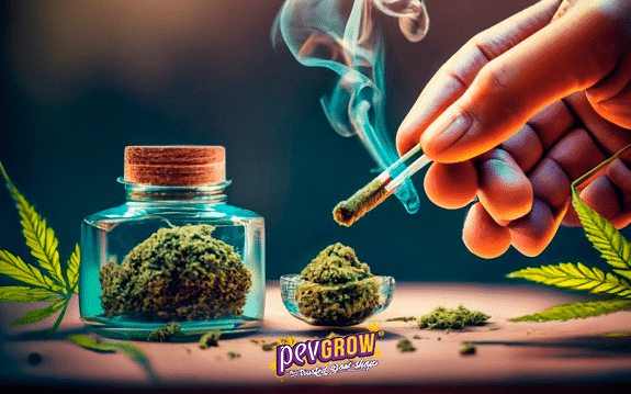 Una mano sostiene un cigarrillo encendido junto a un tarro con material vegetal, un recipiente pequeño y hojas de cannabis. Una mano sostiene un cigarrillo encendido junto a un tarro con material vegetal, un recipiente pequeño y hojas de cannabis.