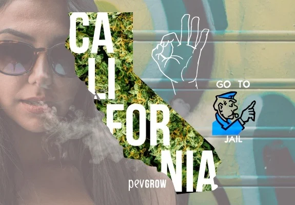 Montaje con una mujer con gafas entre humo, silueta de California con cannabis, gesto de aprobación y viñeta «Go to jail». Montaje con una mujer con gafas entre humo, silueta de California con cannabis, gesto de aprobación y viñeta «Go to jail».