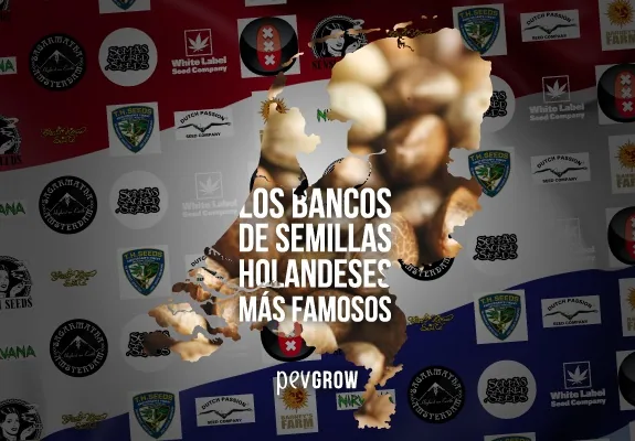 Silueta de los Países Bajos sobre un fondo de logotipos y el texto «Los bancos de semillas holandeses más famosos».